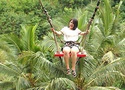 Uma Pakel Bali Swing1