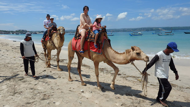 2019年3月3日　Bali Camel Adventure（バリキャメルアドベンチャー）の体験取材に行ってきました！ バリ島の空港のすぐ近くにあるケラン・ビーチで、ラクダと散歩を楽しむことができる、Bali Camel...