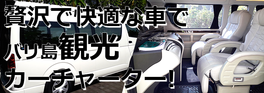 トキメキバリ島観光 厳選カーチャーター ハイエース特別仕様車 特徴