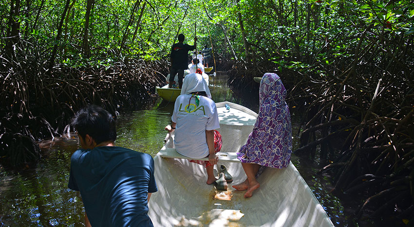 マングローブの林を手漕ぎ小舟で探検