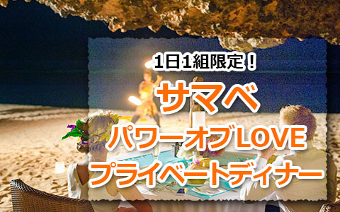 トキメキバリ島観光 厳選オプショナルツアー パワーオブLOVE プライベートディナー