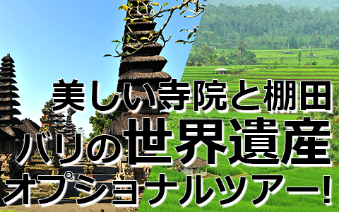 トキメキバリ島観光 厳選オプショナルツアー バリの世界遺産 タマンアユンとライステラスツアー 特徴