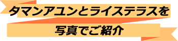 トキメキバリ島観光 厳選オプショナルツアー バリの世界遺産 タマンアユンとライステラスツアー 写真で見る