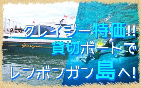 至福のバリ島観光 厳選マリンスポーツ レンボンガン島往復貸切ボート 特徴