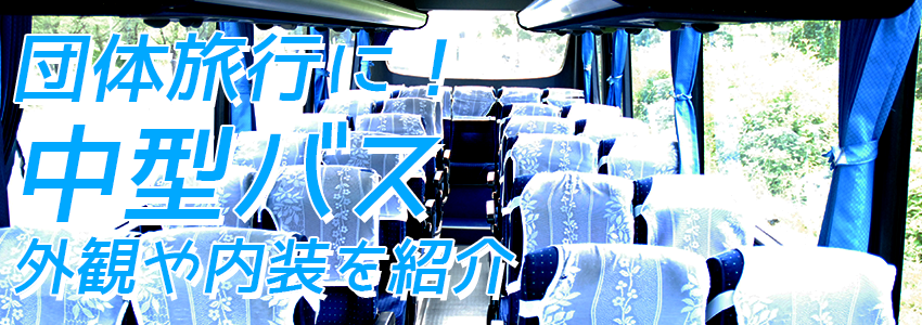 至福のバリ島観光 厳選カーチャーター 中型バス 外観や内装をご紹介