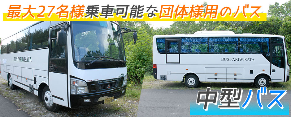 至福のバリ島観光 厳選カーチャーター 中型バス