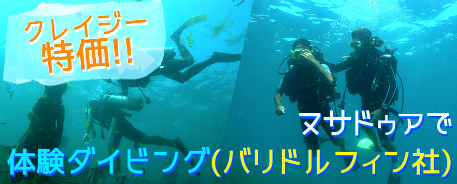 至福のバリ島観光 厳選マリンスポーツ ヌサドゥアde体験ダイビング（バリ ドルフィン社）