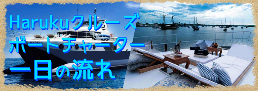 至福のバリ島観光 厳選ボートチャーター Haruku クルーズ 一日の流れ