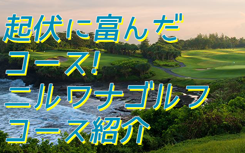 至福のバリ島観光 厳選 ニルワナ ゴルフ クラブ