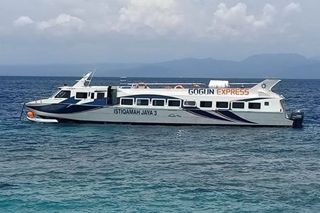 至福のバリ島観光 厳選レンボンガン島 往復ボート 画像