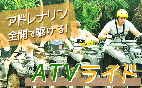 至福のバリ島観光 厳選アクティビティ Pertiwi Quad Adventure ATVライド
