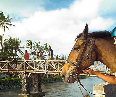 バリ島東部のサバビーチで乗馬体験