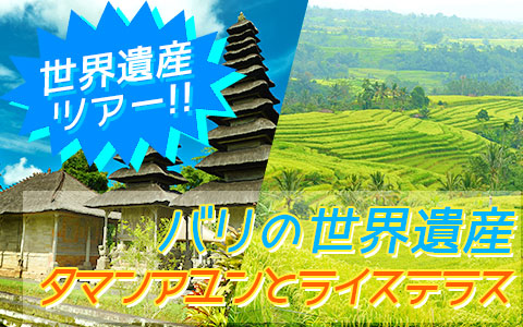 至福のバリ島観光 厳選オプショナルツアー バリの世界遺産 タマンアユンとライステラスツアー